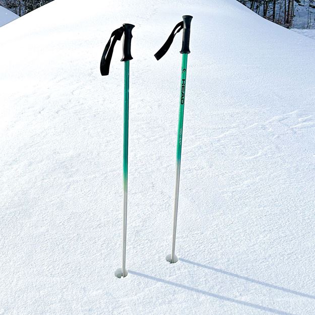 Picture of Ski Poles Only